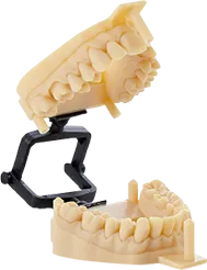 Dental resource image